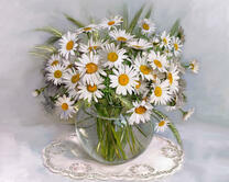 Без бренда «2KMA-0021» в Тольятти