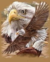 Без бренда «2KMB-4315» в Тольятти