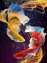 Без бренда «Желтая и красная рыбки» в Тольятти