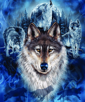 Без бренда «2KXSB-0687» в Тольятти