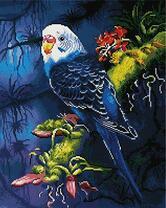 Волнистый попугайчик на цветущем дереве