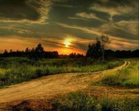 Без бренда «Проселочная дорога на закате» в Тольятти в интернет-магазине Без бренда «Проселочная дорога на закате» в Тольятти