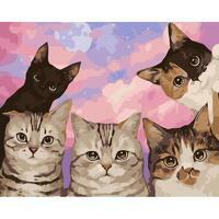 Без бренда «Такие разные котики» в Тольятти