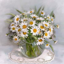 Без бренда «Букет свежих ромашек» в Тольятти