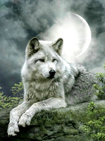 Без бренда «Коробка 25 шт. картин по номерам BOX25-GX21058» в Тольятти