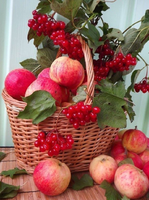 Без бренда «Коробка 25 шт. картин по номерам BOX25-GX5174» в Тольятти