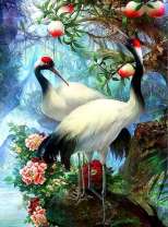 Красноголовые журавли под цветущим деревом