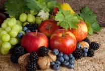 Без бренда «Фрукты, ягоды и орехи» в Тольятти