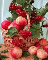 Без бренда «Плетёная корзина с калиной и яблоками» в Тольятти