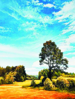 Без бренда «Осенний пейзаж с голубым небом» в Тольятти в интернет-магазине  Без бренда «Осенний пейзаж с голубым небом» в Тольятти