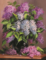 Большой букет сирени на журнальном столике