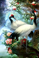 Без бренда «Коробка 25 шт. картин по номерам BOX25-GX29399» в Тольятти в интернет-магазине  Без бренда «Коробка 25 шт. картин по номерам BOX25-GX29399» в Тольятти