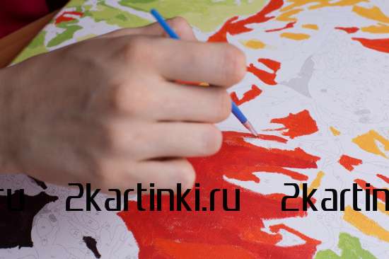 Картина по номерам 40x50 BOX25-GX3223 Коробка 25 шт. картин по номерам BOX25-GX3223 за 11750 руб.  в интернет-магазине  Картина по номерам 40x50 Коробка 25 шт. картин по номерам BOX25-GX3223