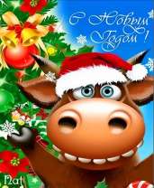 С Новым годом быка