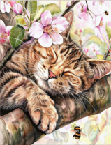 Без бренда «Волосатый котик спит на ветви яблони» в Тольятти