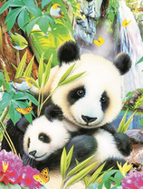 Семейная идиллия панд у водопада