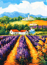 Лавандовое поле возле деревни